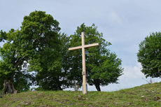 72 Stunden Aktion – auf dem Hasunger Berg (Foto: Karl-Franz Thiede)